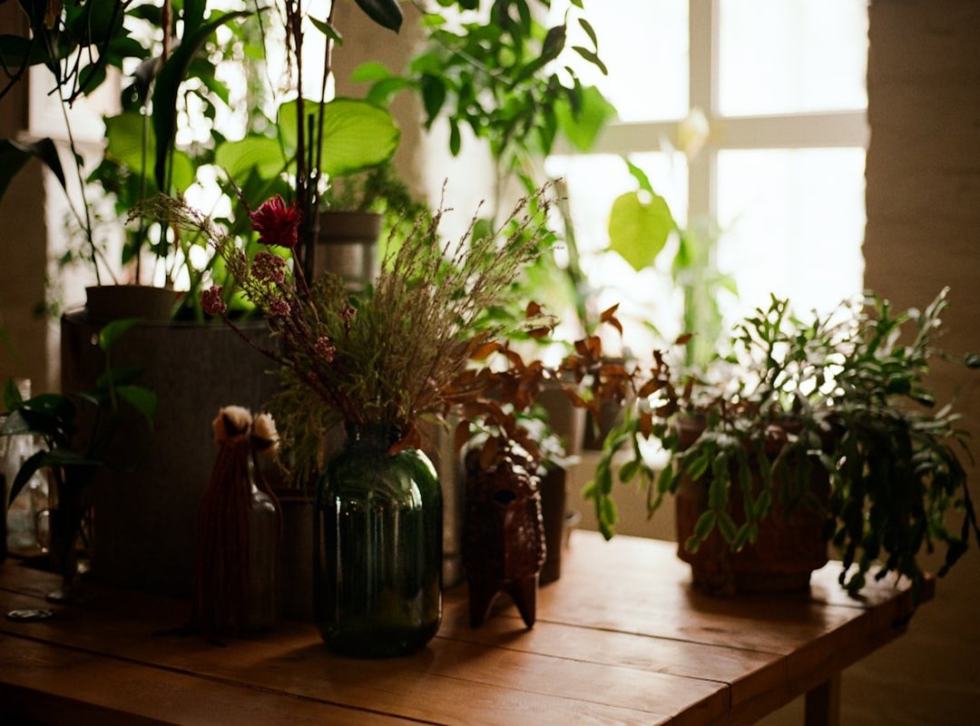 eco-friendly living space